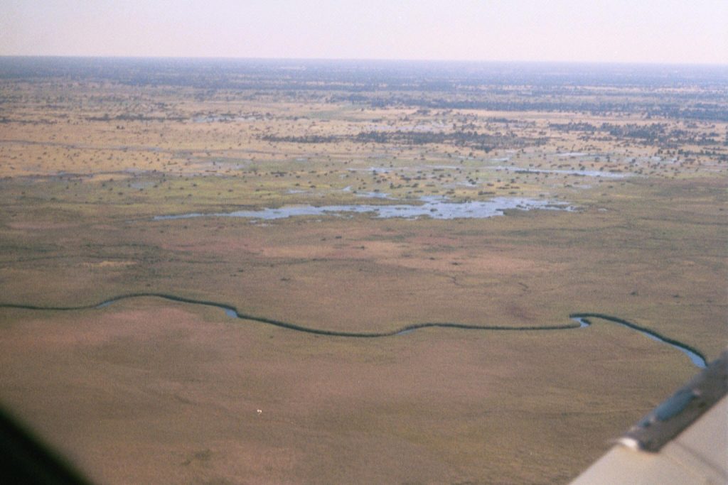 okavango_delta_from_1200_ft.jpg
