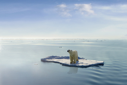 surriscaldamento globale.jpg