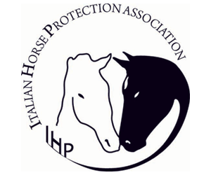 ihp_association