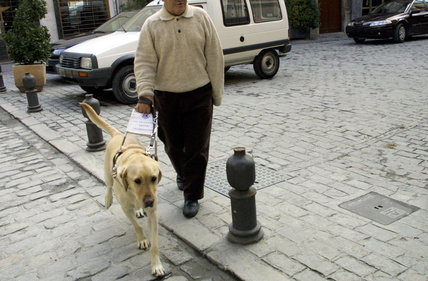 cane-guida.png